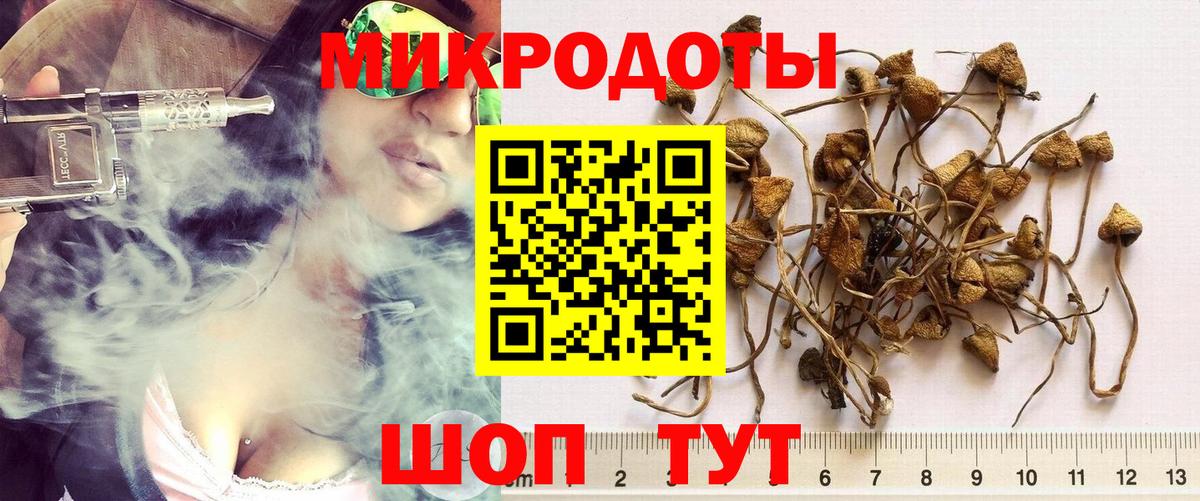 Галлюциногенные грибы Magic Shrooms Боровичи
