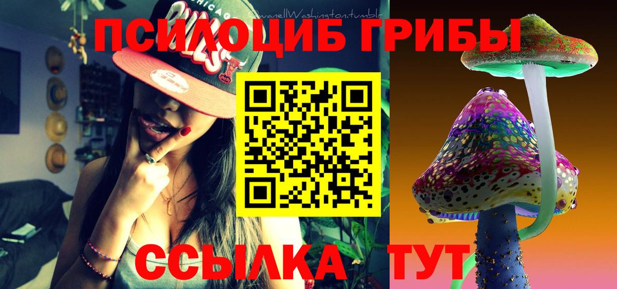 даркнет сайт  Галлюциногенные грибы мухоморы  Боровичи  Вход с VPN  Псилоцибиновые грибы мицелий 